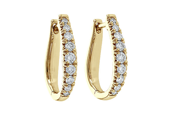 C190-21250: EARR .50 TW